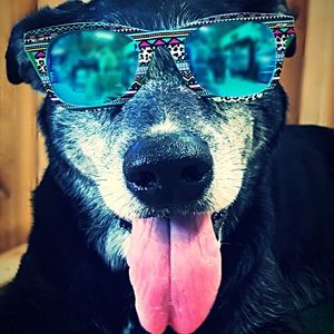 Meet your Posher, Michele